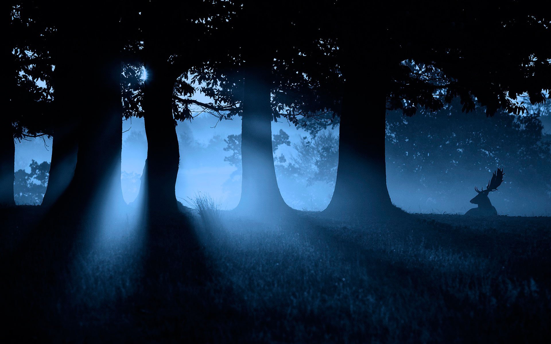 1920 x 1080 HD Wallpapers 3132
